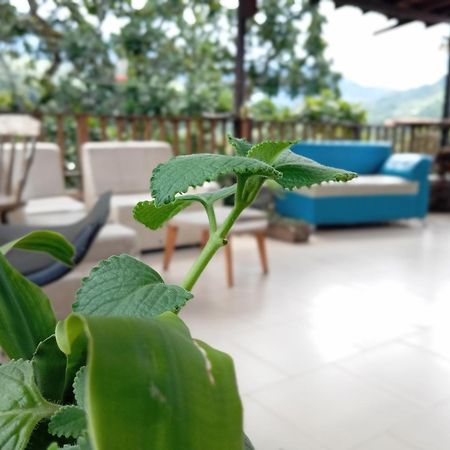 Hostal Los Wichos ミンカ エクステリア 写真